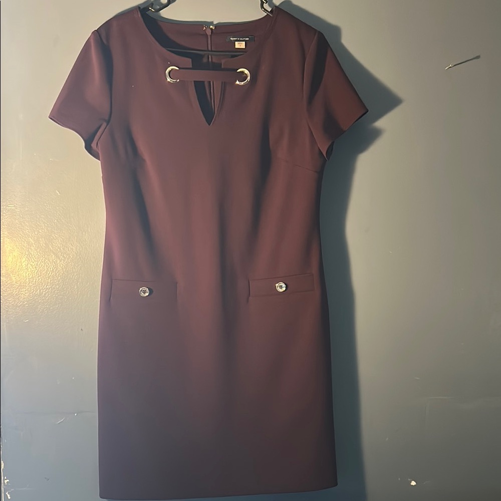 Elegant Burgundy Dress with Gold Accents